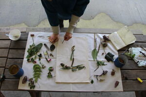 Vue de dessus, sur une table, des v&eacute;g&eacute;taux sont organis&eacute;s de mani&egrave;re &agrave; former un T.